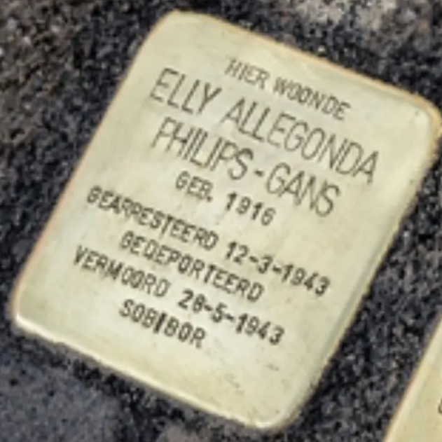 Struikelsteen voor Ellij Allegonda Philips-Gans