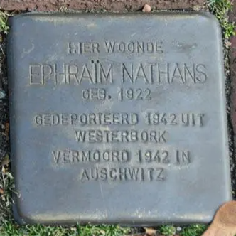 Struikelsteen voor Ephraim Nathans