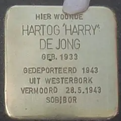 Struikelsteen voor Hartog de Jong