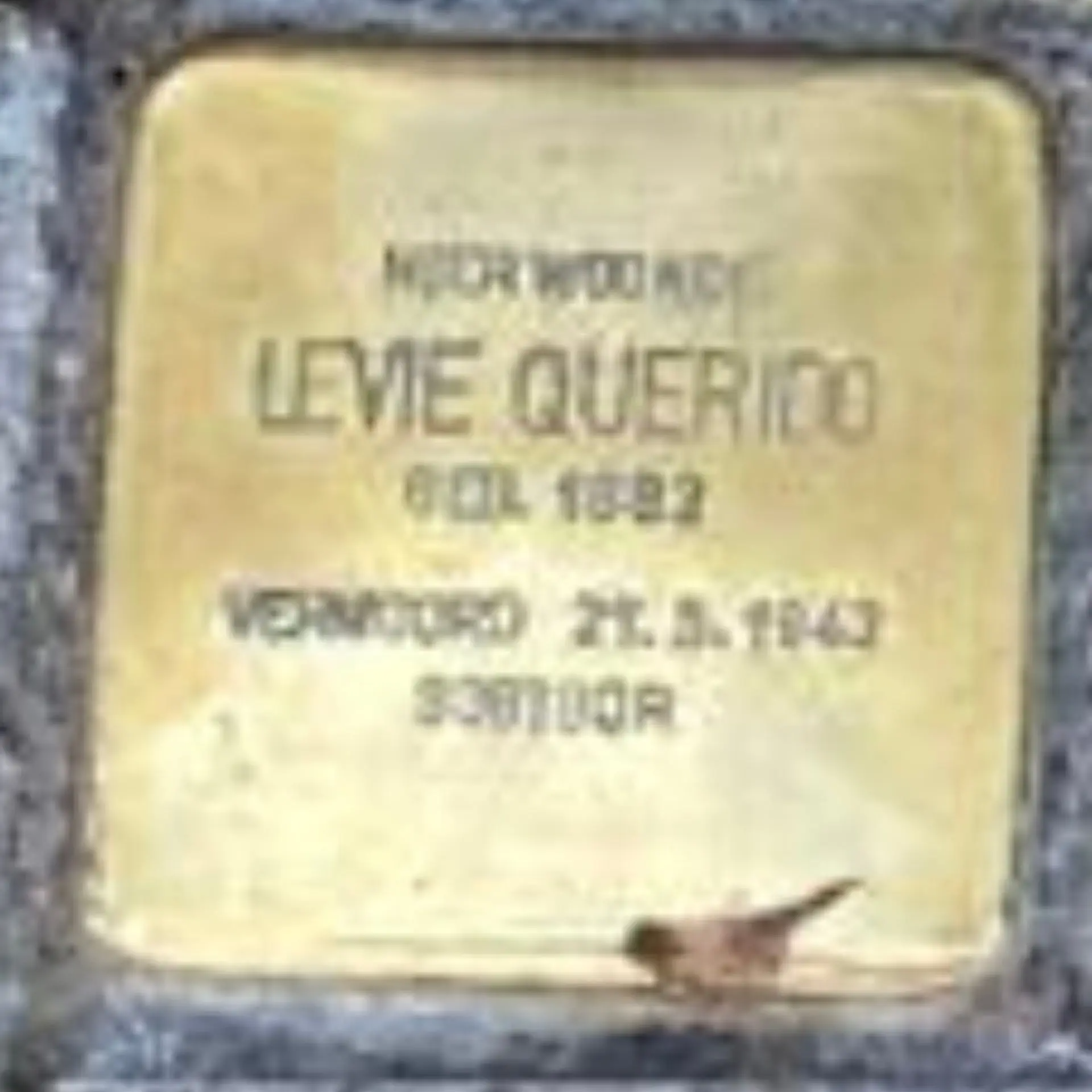 Struikelsteen voor Levie Querido