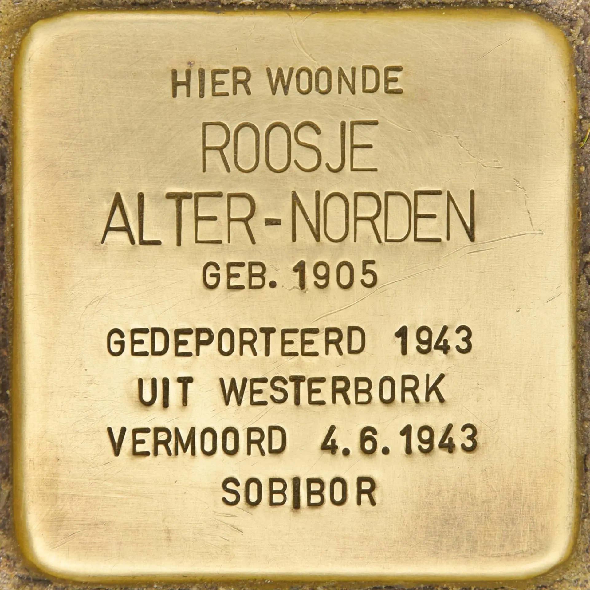 Struikelsteen voor Roosje Alter-Norden