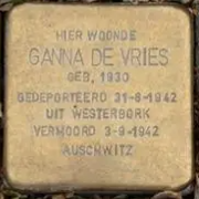 Struikelsteen voor Ganna de Vries
