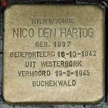Struikelsteen voor Nico den Hartog