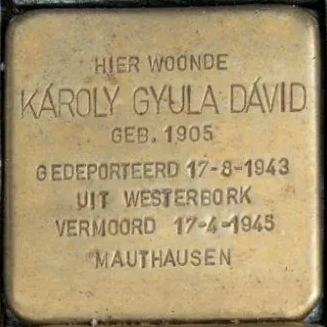 Struikelsteen voor Karoly Gyula David