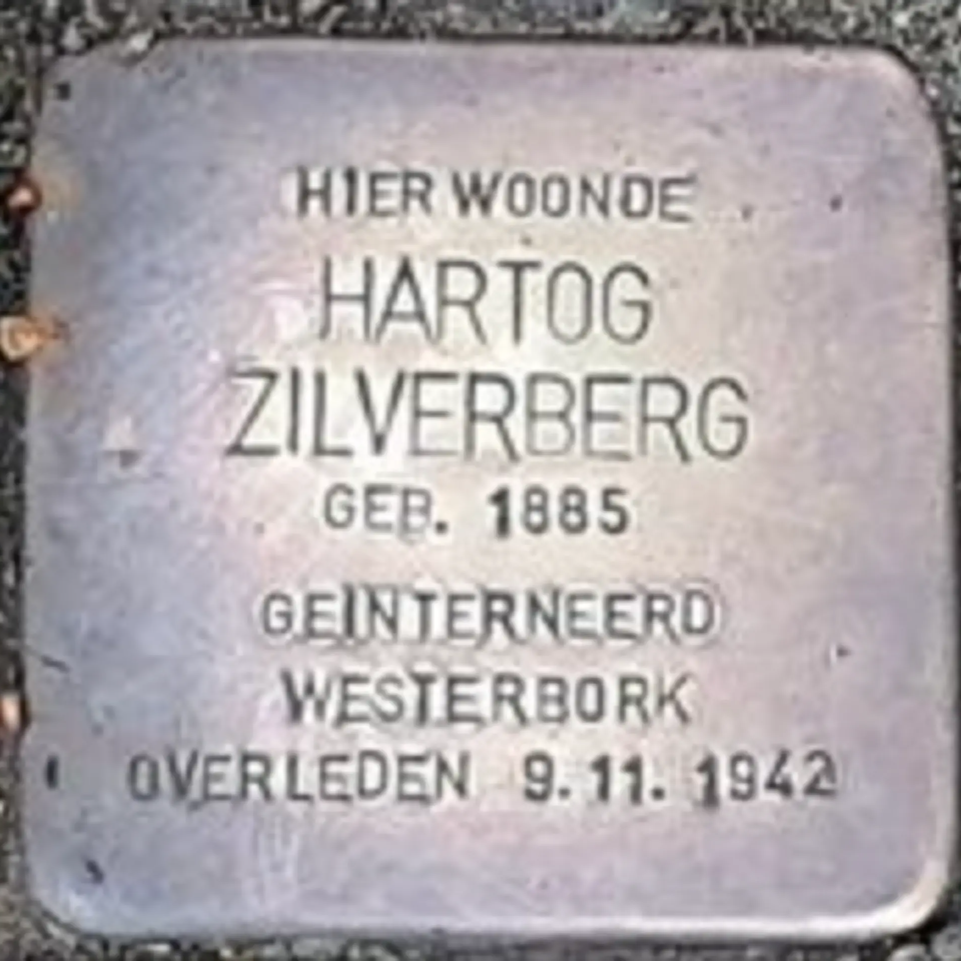 Struikelsteen voor Hartog Zilverberg