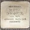 Struikelsteen voor Betrina den Hartog