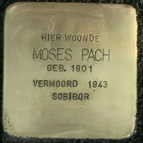 Struikelsteen voor Moses Pach