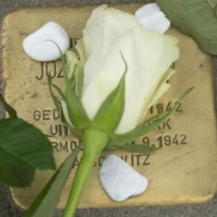 Struikelsteen voor Jozeph Kroon
