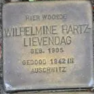 Struikelsteen voor Wilhelmine Hartz-Lievendag