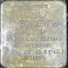 Struikelsteen voor Mirjam Schenkolewski