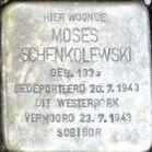 Struikelsteen voor Moses Schenkolewski