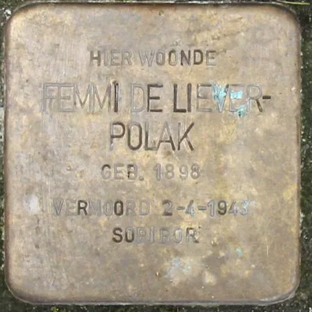 Struikelsteen voor Femmi de Salomons-Polak