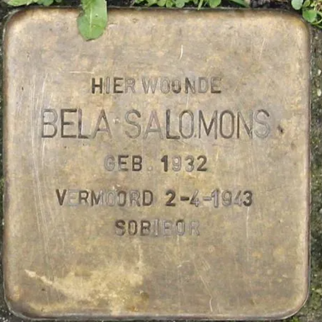 Struikelsteen voor Bela Salomons