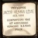 Struikelsteen voor Jacob Hijman Levie