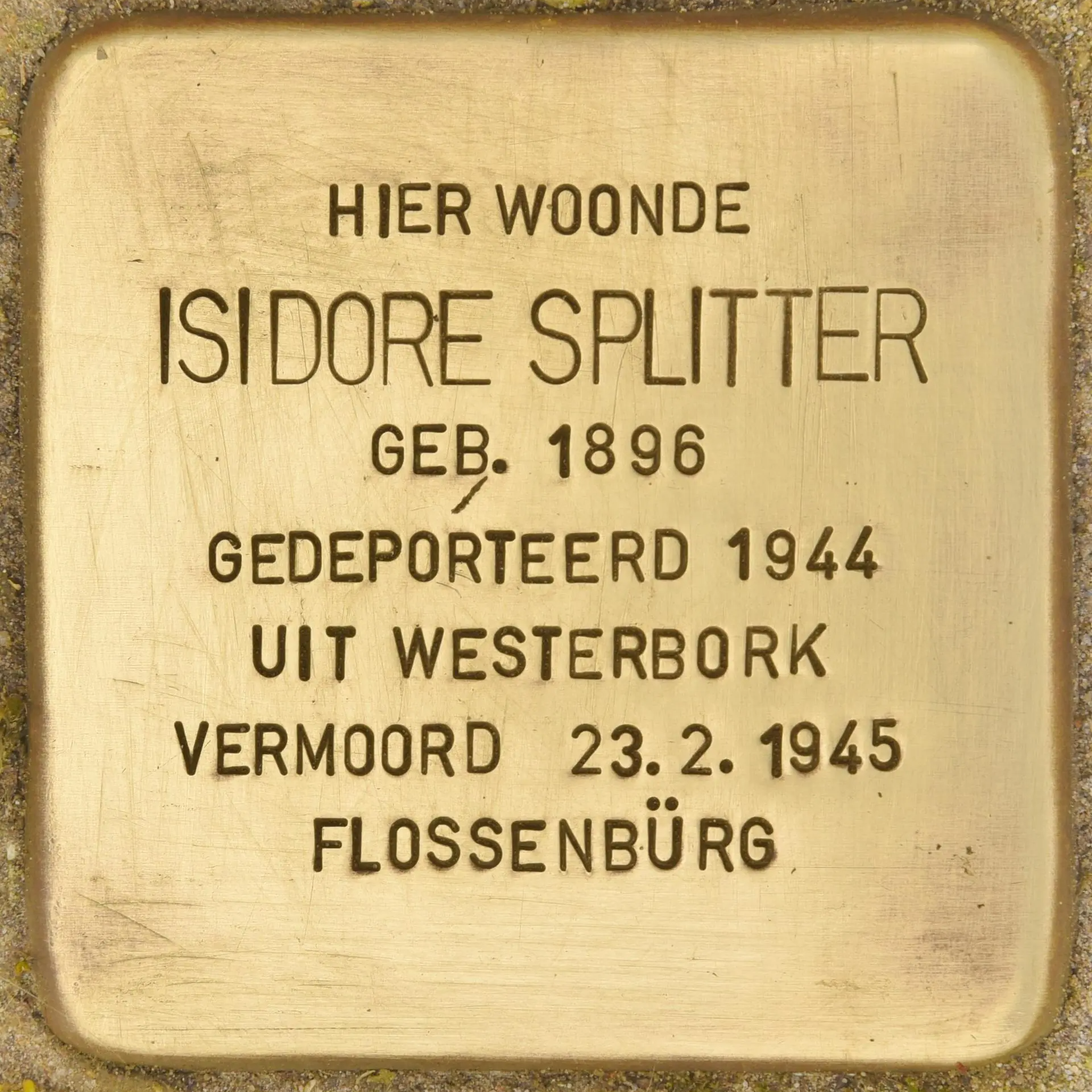 Struikelsteen voor Izrael Splitter