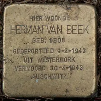 Struikelsteen voor Herman van Beek