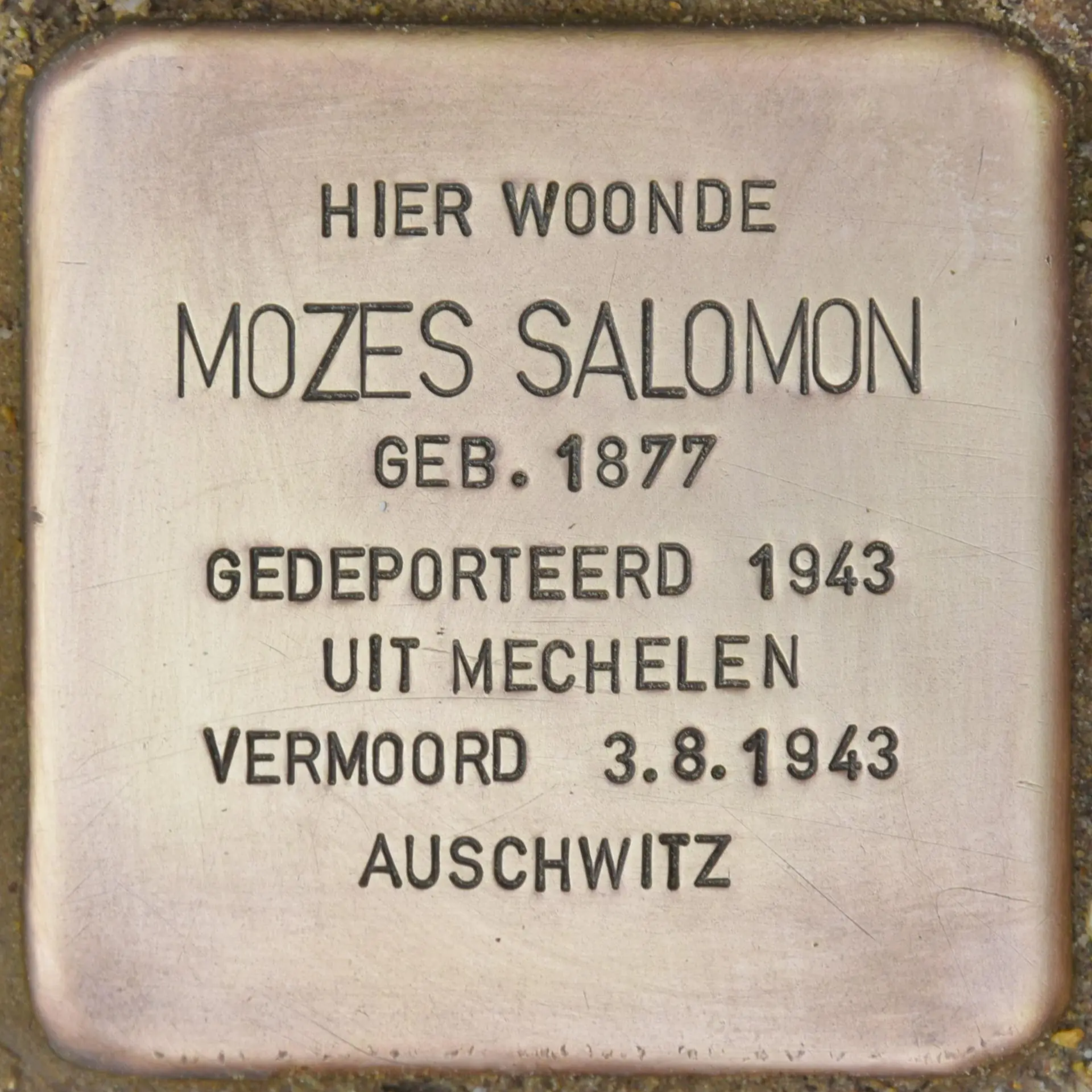Struikelsteen voor Mozes Salomon