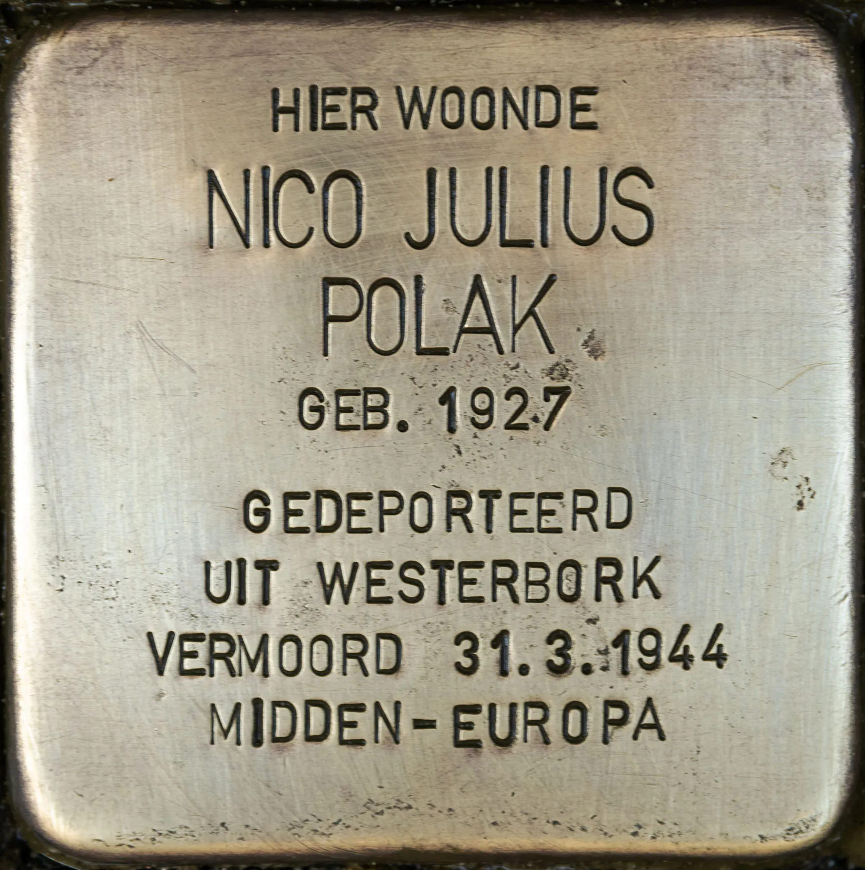 Struikelsteen voor Nico Julius Polak