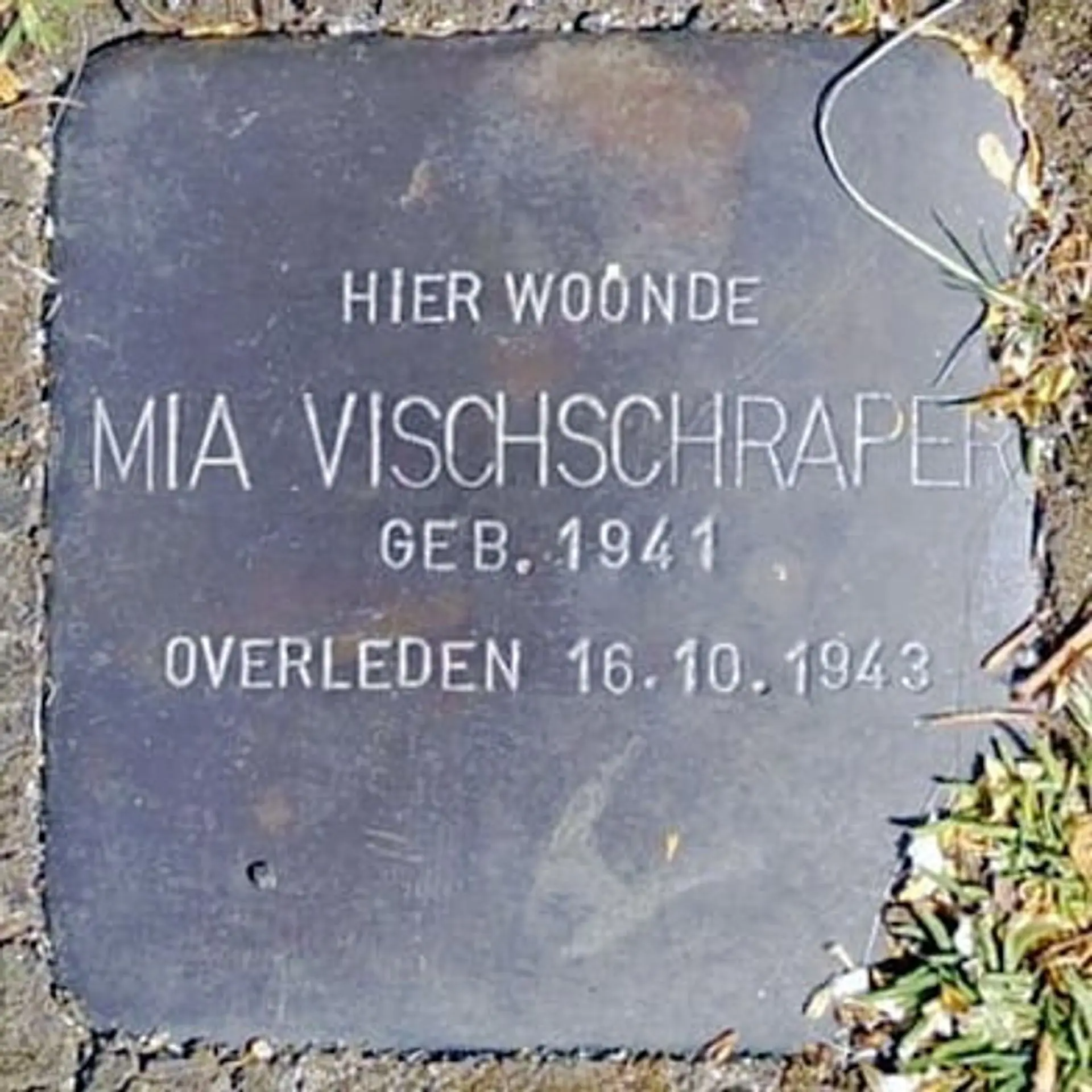 Struikelsteen voor Mia Vischschraper