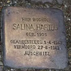 Struikelsteen voor Salina Hartog