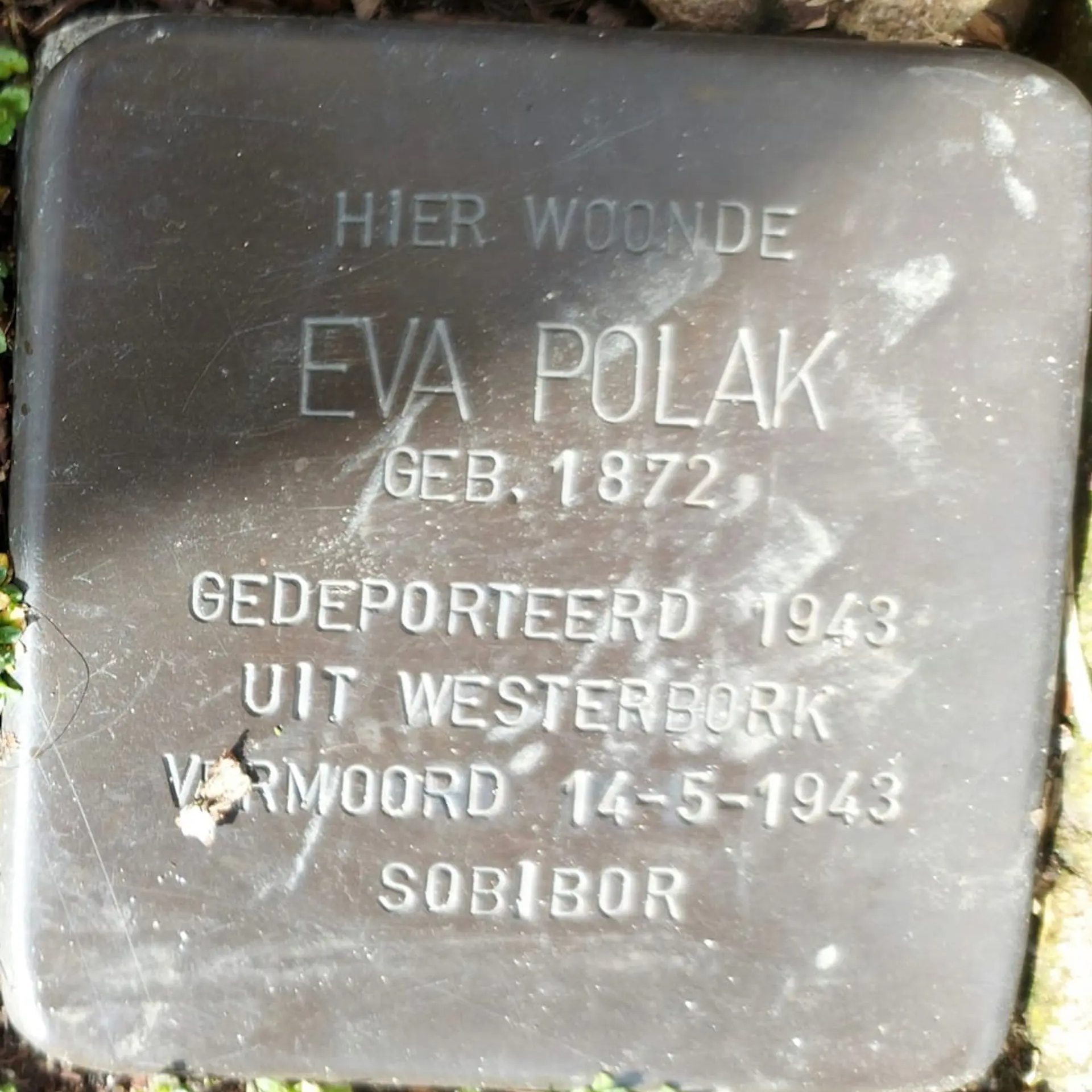 Struikelsteen voor Eva Polak