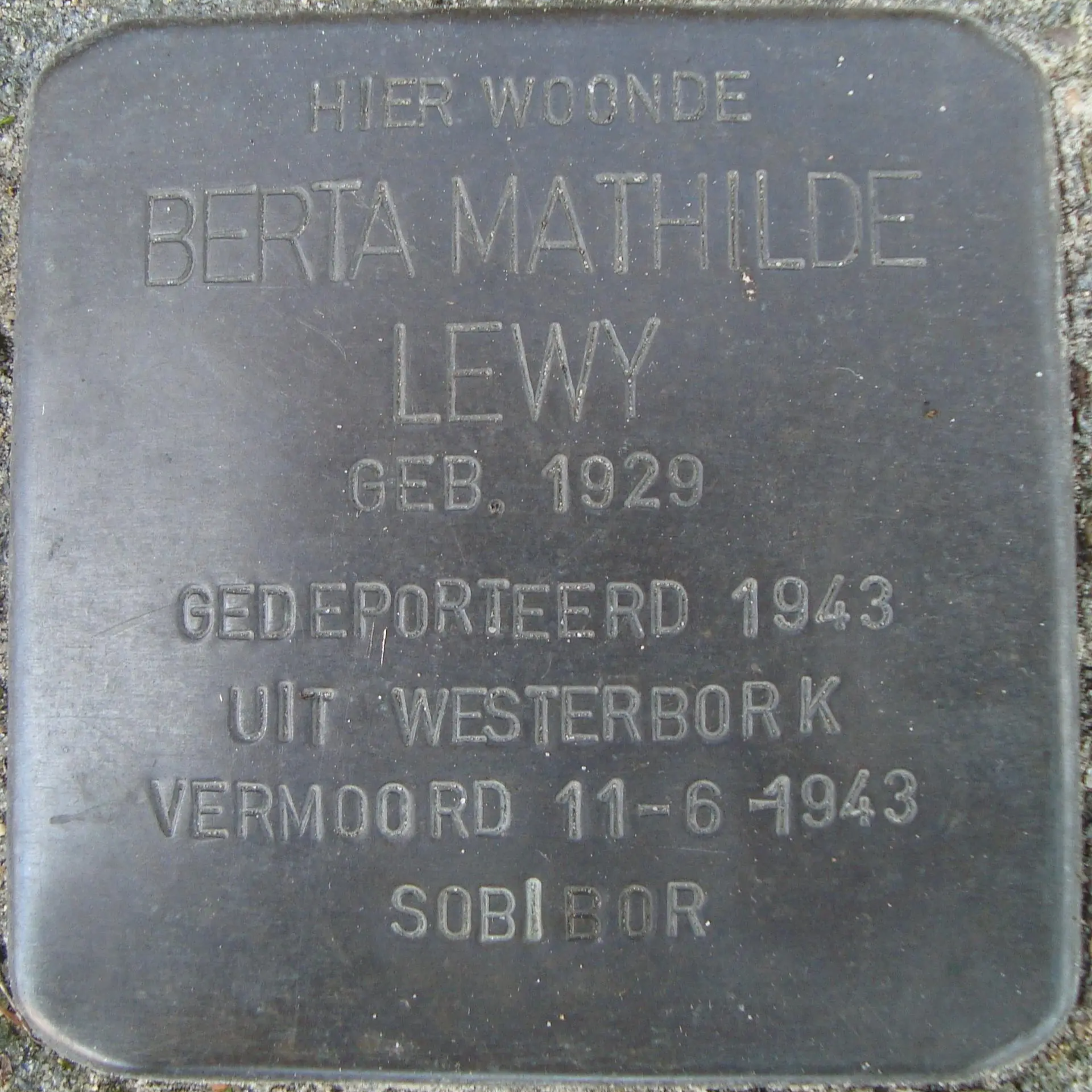 Struikelsteen voor Berta Mathilde Lewy