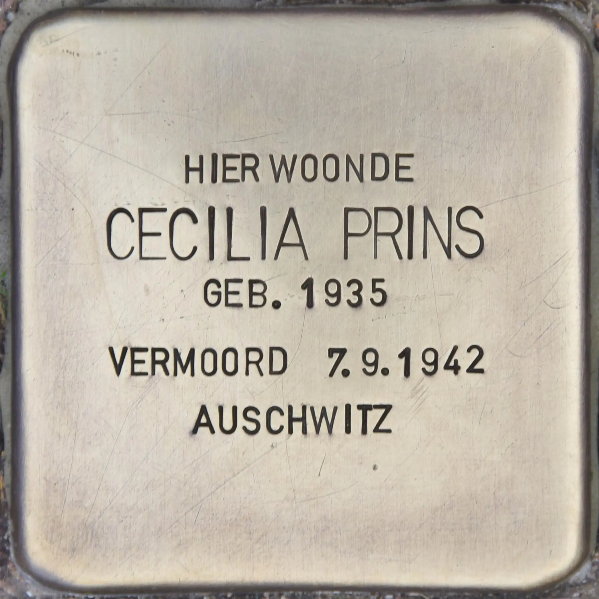 Struikelsteen voor Cecilia Prins