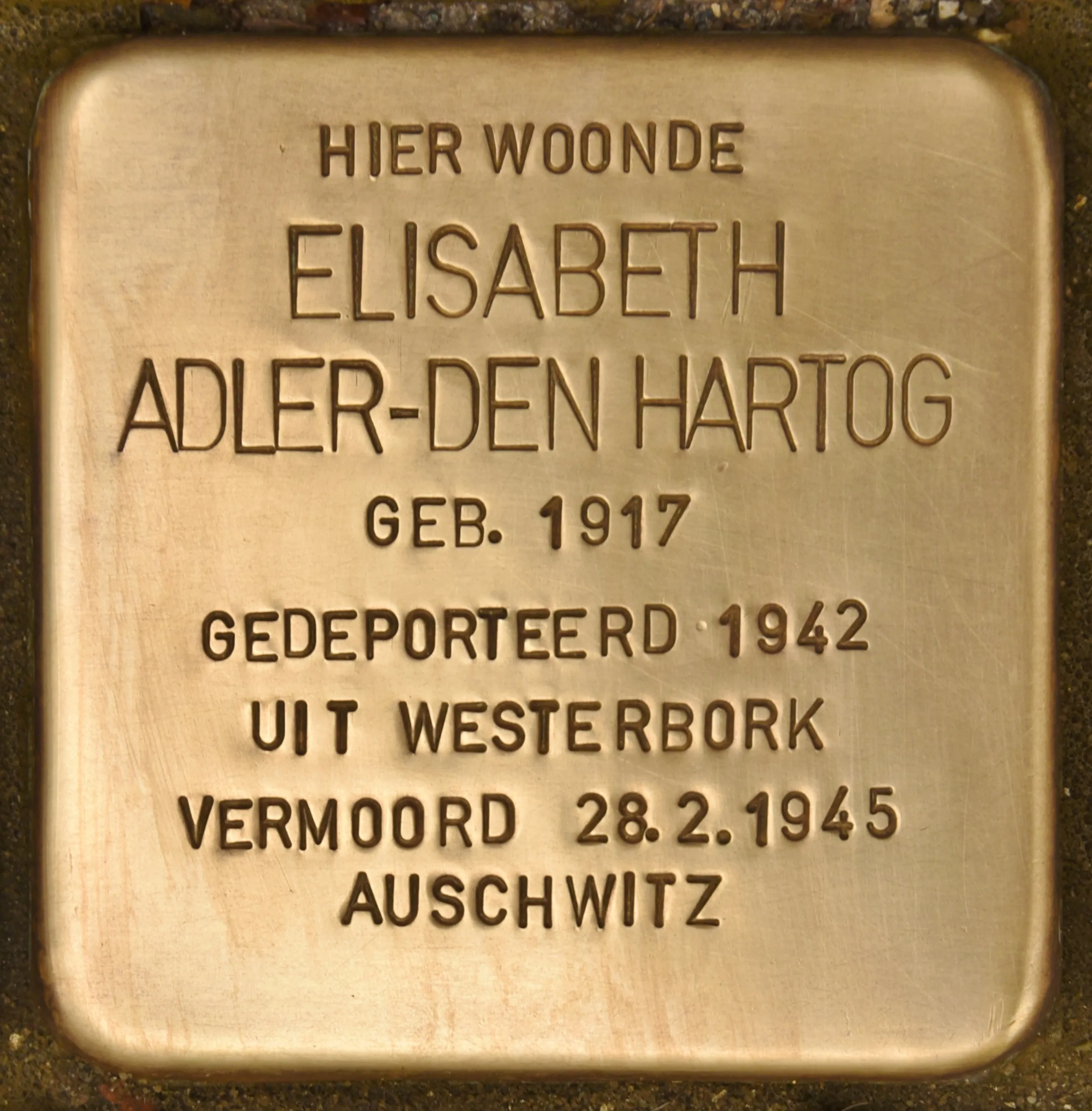 Struikelsteen voor Elizabeth Adler-den Hartog