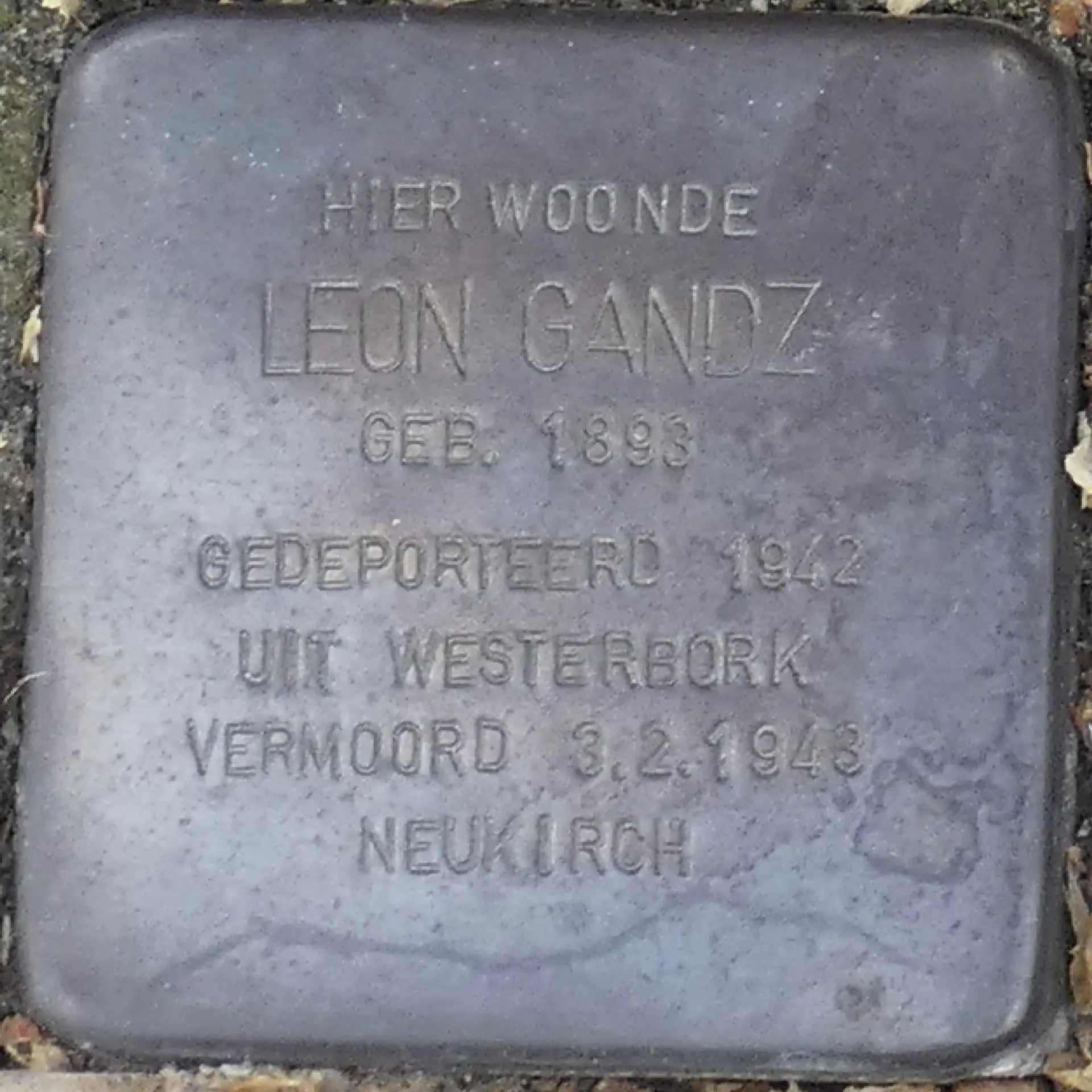 Struikelsteen voor Leon Gandz