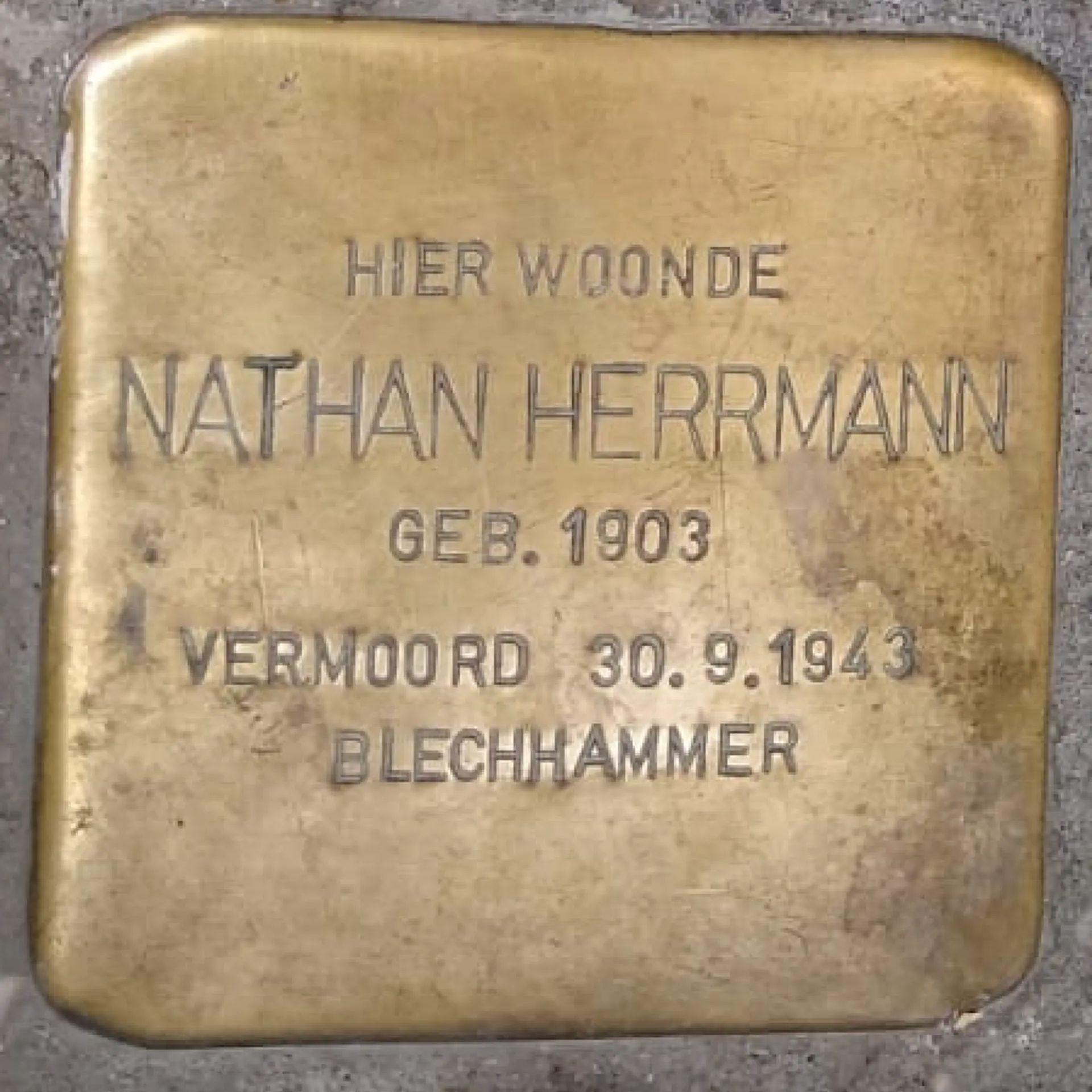 Struikelsteen voor Nathan Herrmann
