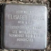 Struikelsteen voor Elisabeth Gans