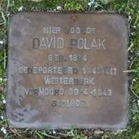 Struikelsteen voor David Polak
