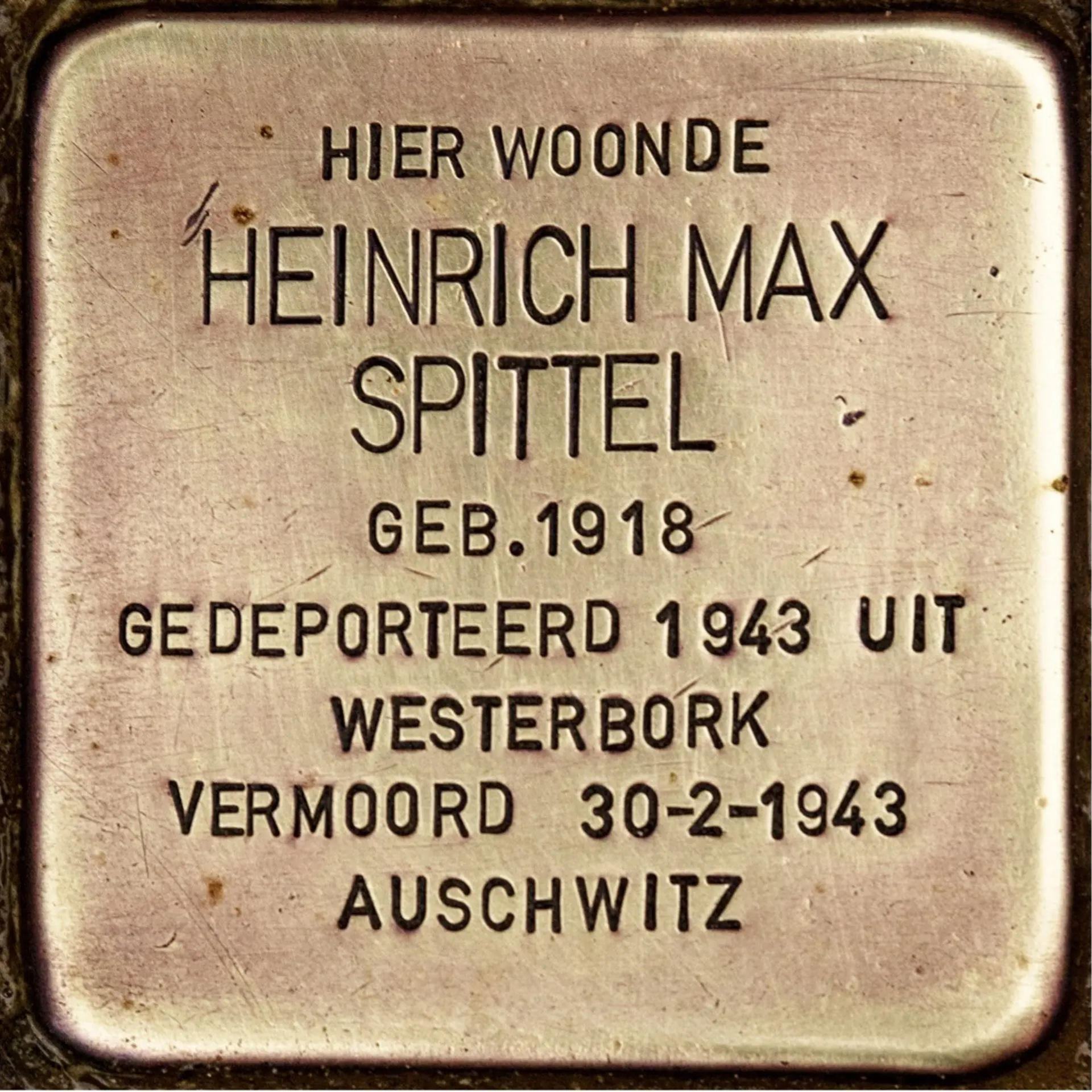 Struikelsteen voor Heinrich Max Spittel
