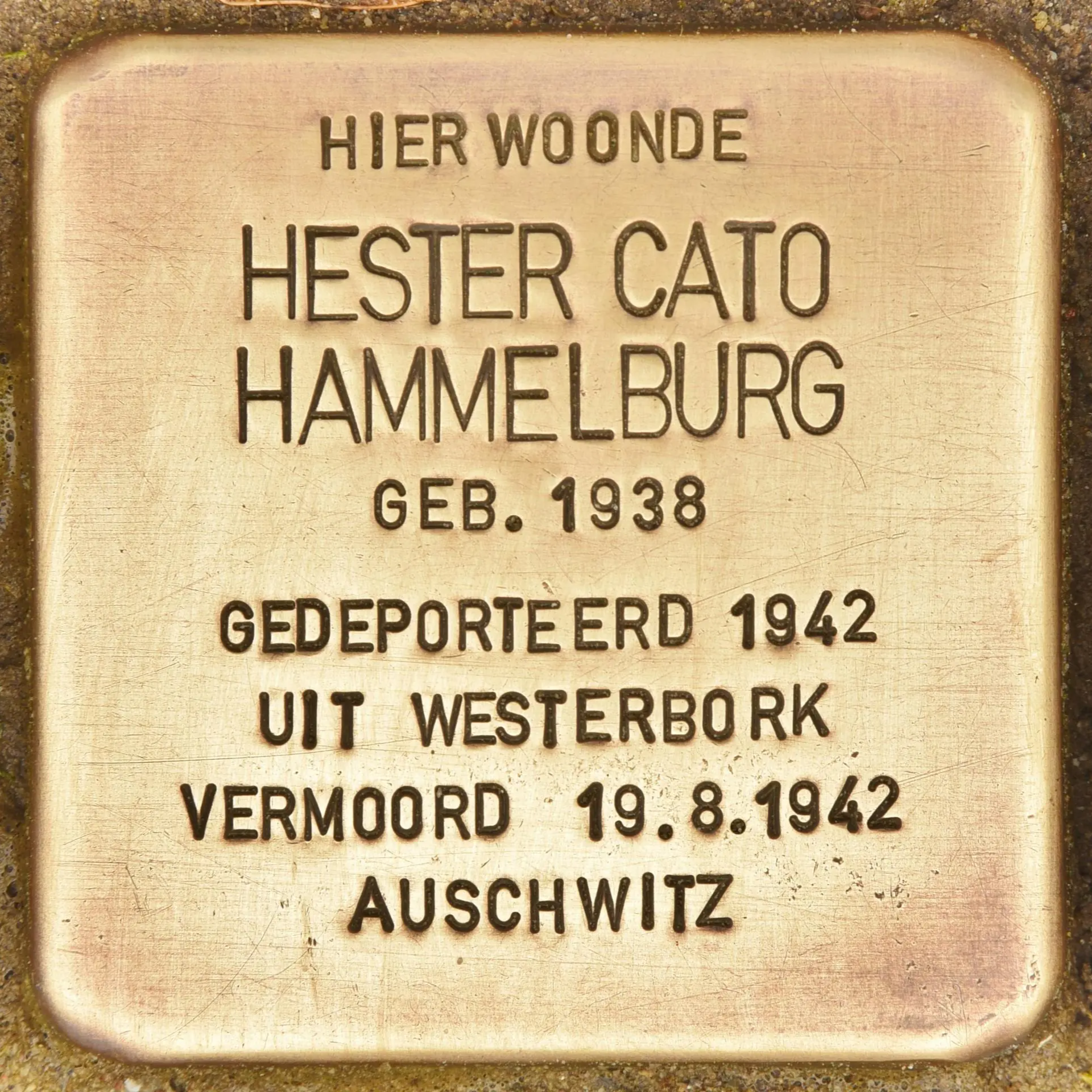 Struikelsteen voor Hester Cato Hammelburg