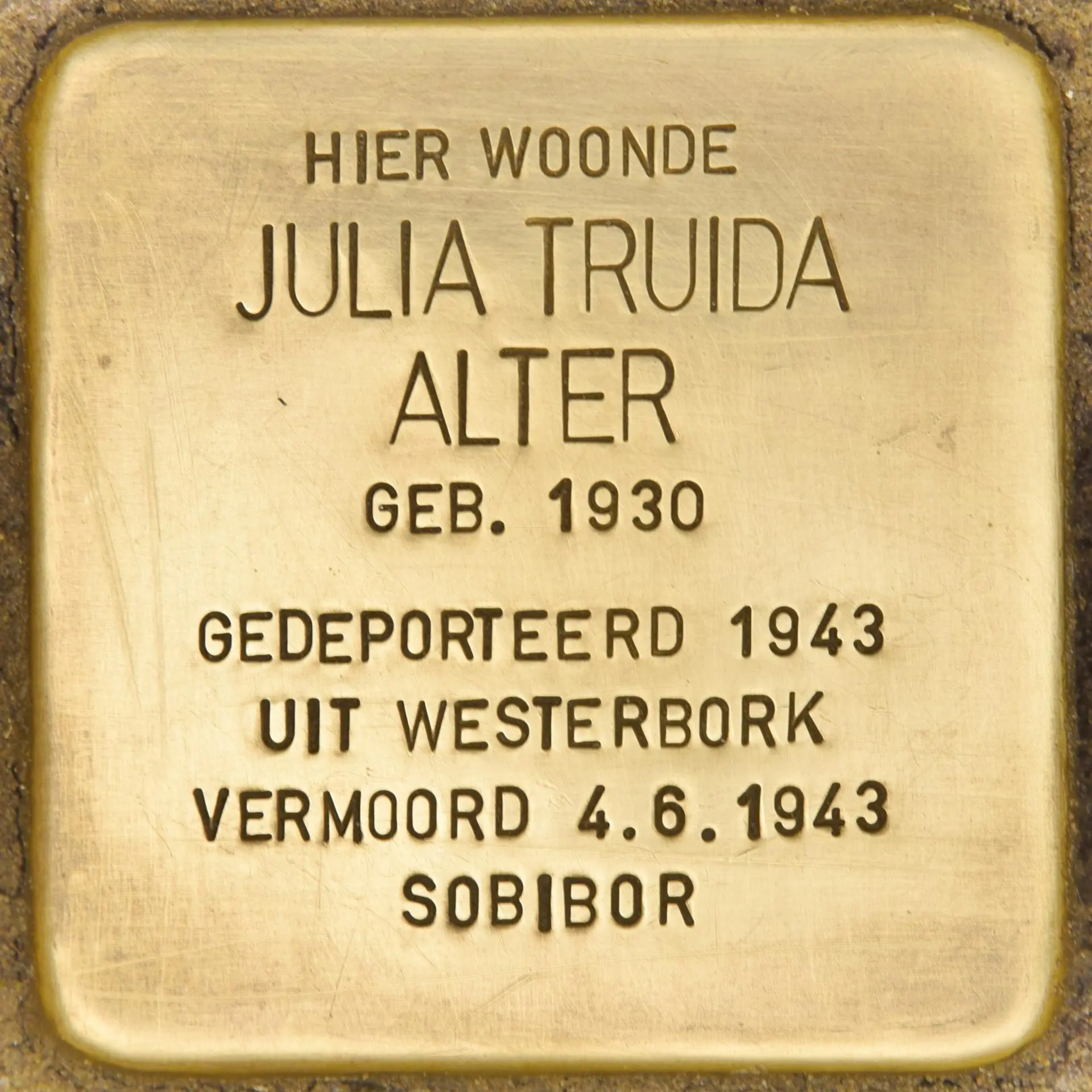 Struikelsteen voor Julia Truida Alter