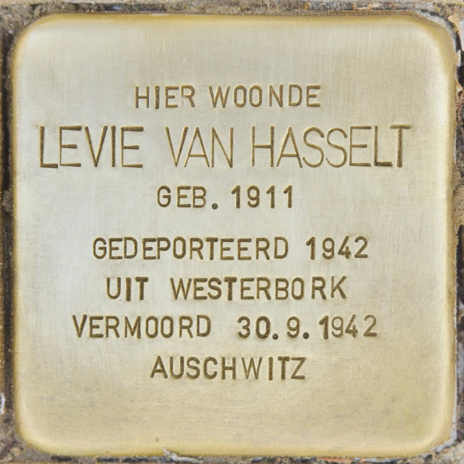 Struikelsteen voor Levie van Hasselt