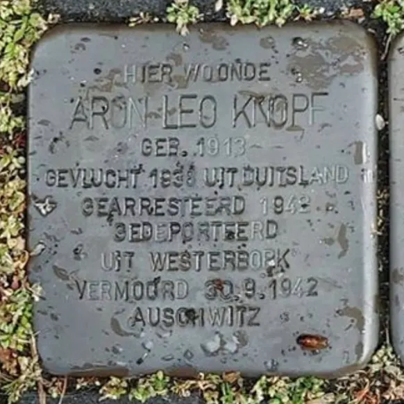 Struikelsteen voor Aron Leo Knopf