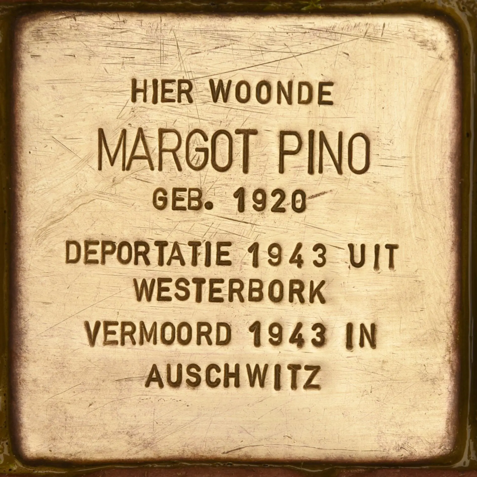 Struikelsteen voor Margot Pino
