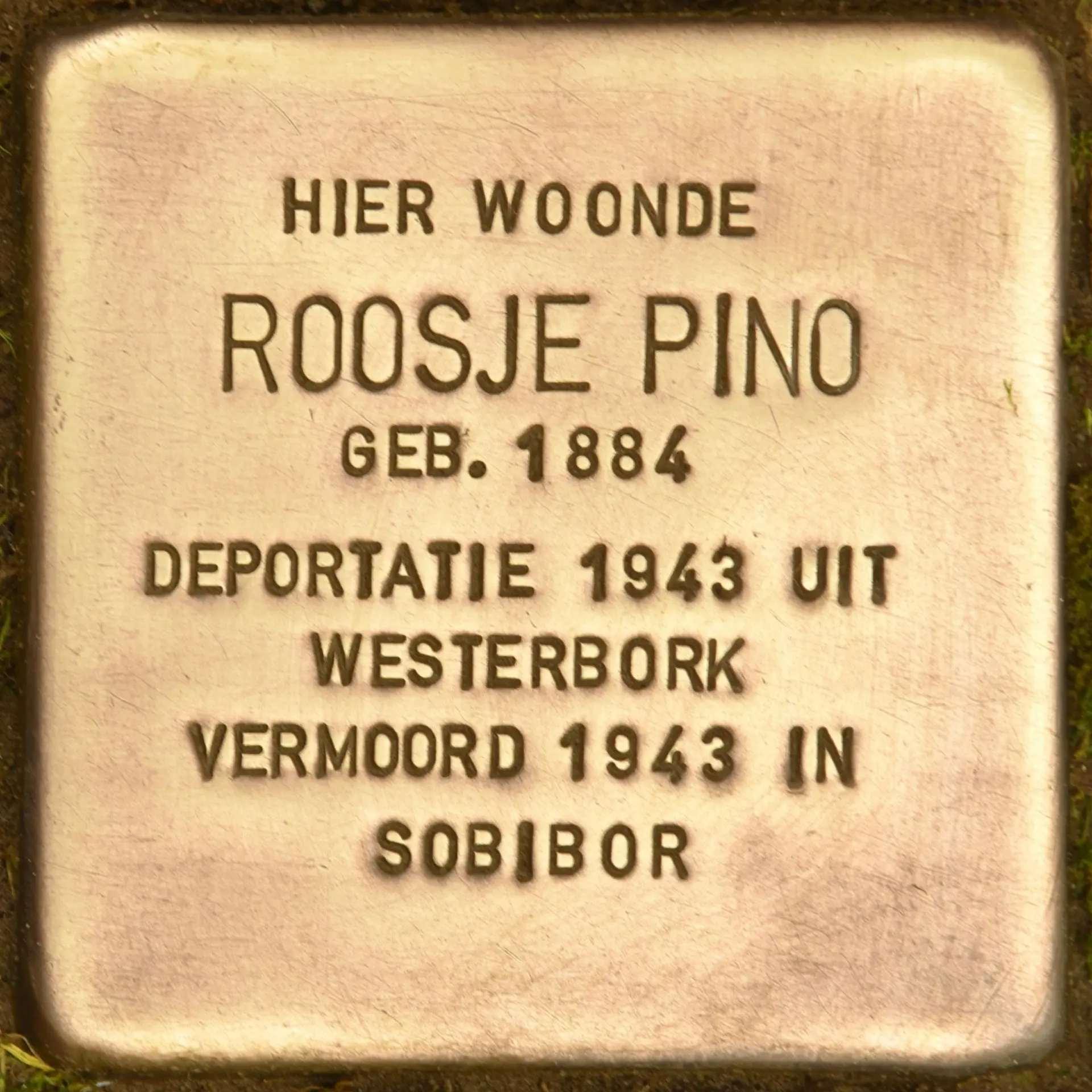 Struikelsteen voor Roosje Pino