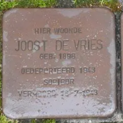 Struikelsteen voor Joost de Vries