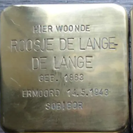 Struikelsteen voor Roosje de Lange-de Lange
