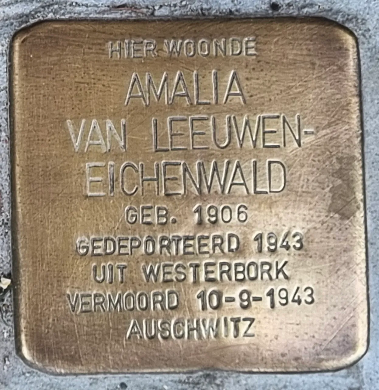 Struikelsteen voor Amalia van Leeuwen-Eichenwald