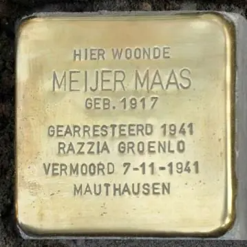 Struikelsteen voor Meijer Maas