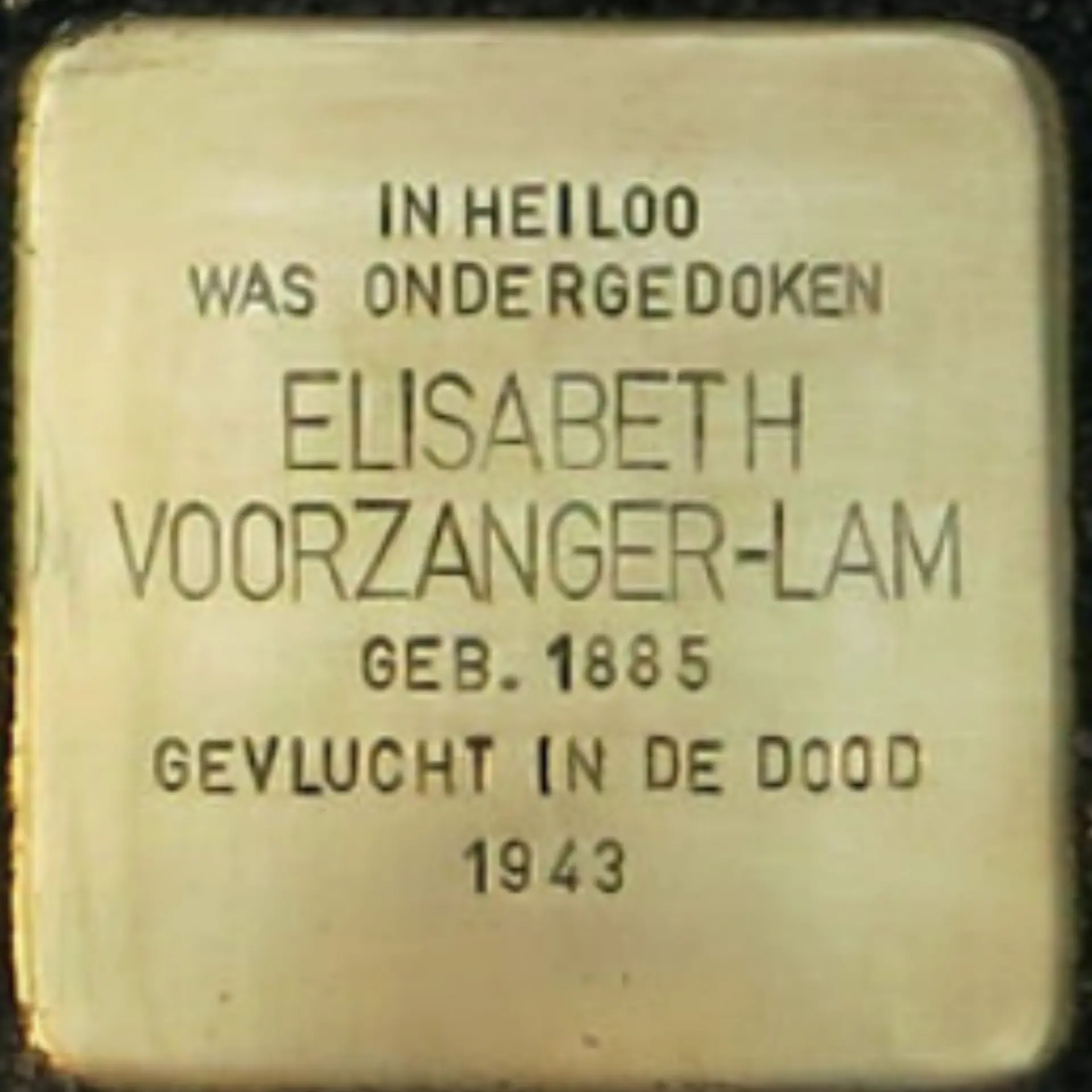 Struikelsteen voor Elisabeth Voorzanger-Lam