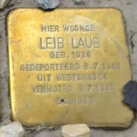 Struikelsteen voor Leib Laub