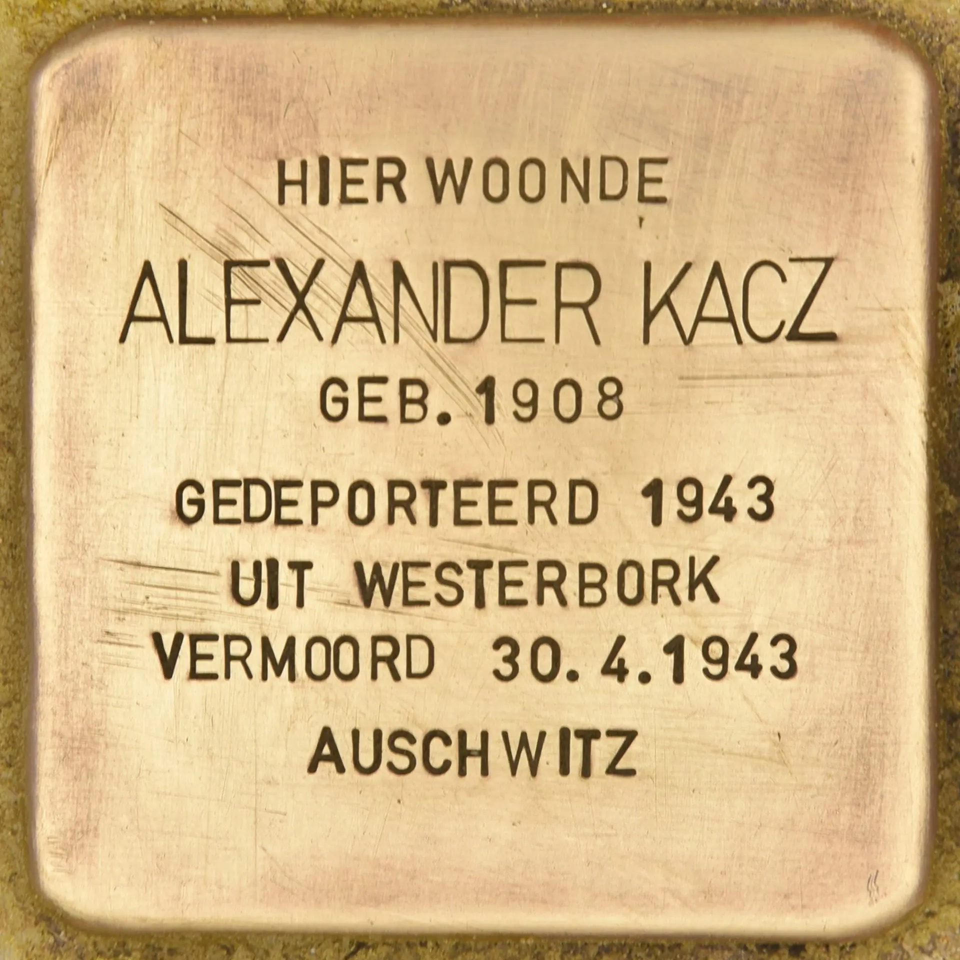 Struikelsteen voor Alexander Kacz