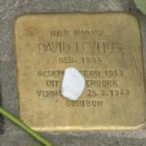 Struikelsteen voor David Levitus