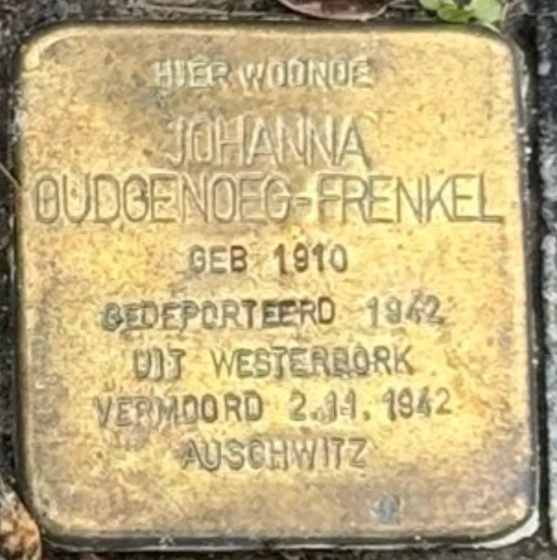 Struikelsteen voor Johanna Sophia Carolina Oudgenoeg-Frenkel