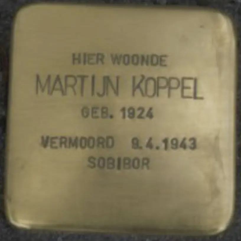 Struikelsteen voor Martijn Koppel