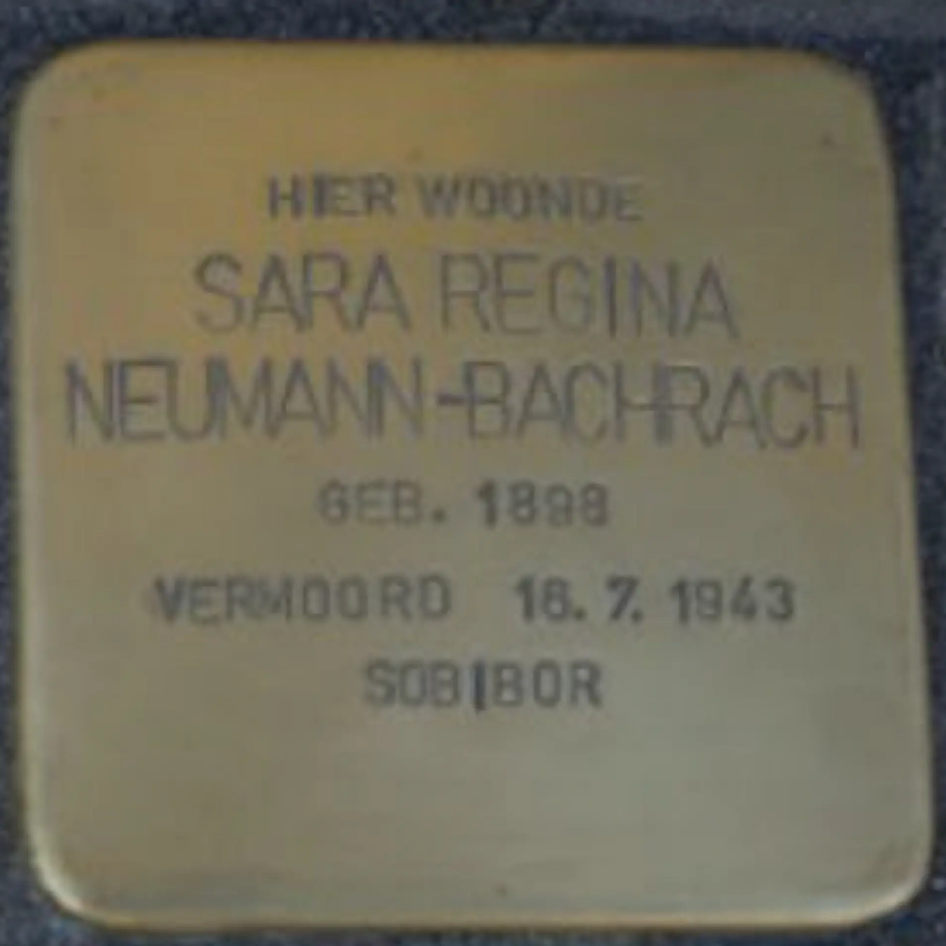 Struikelsteen voor Sara Regina Neumann-Bachrach